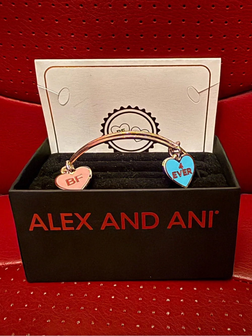 Alex and Ani Color Infusion Best Friends Duo Charm Expandable Bracelet